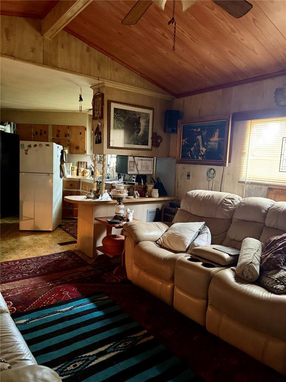 A living room with wood-paneled walls and ceilings features a tan sofa and kitchen area — 11710 NE 222ND LANE, FORT MC COY, FL