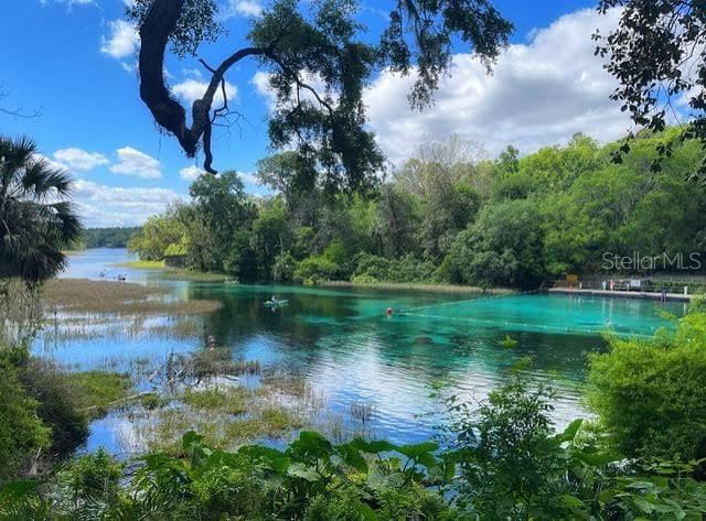 A view of a clear blue spring surrounded by lush green trees and vegetation — 20260 SW 80TH PLACE ROAD, DUNNELLON, FL