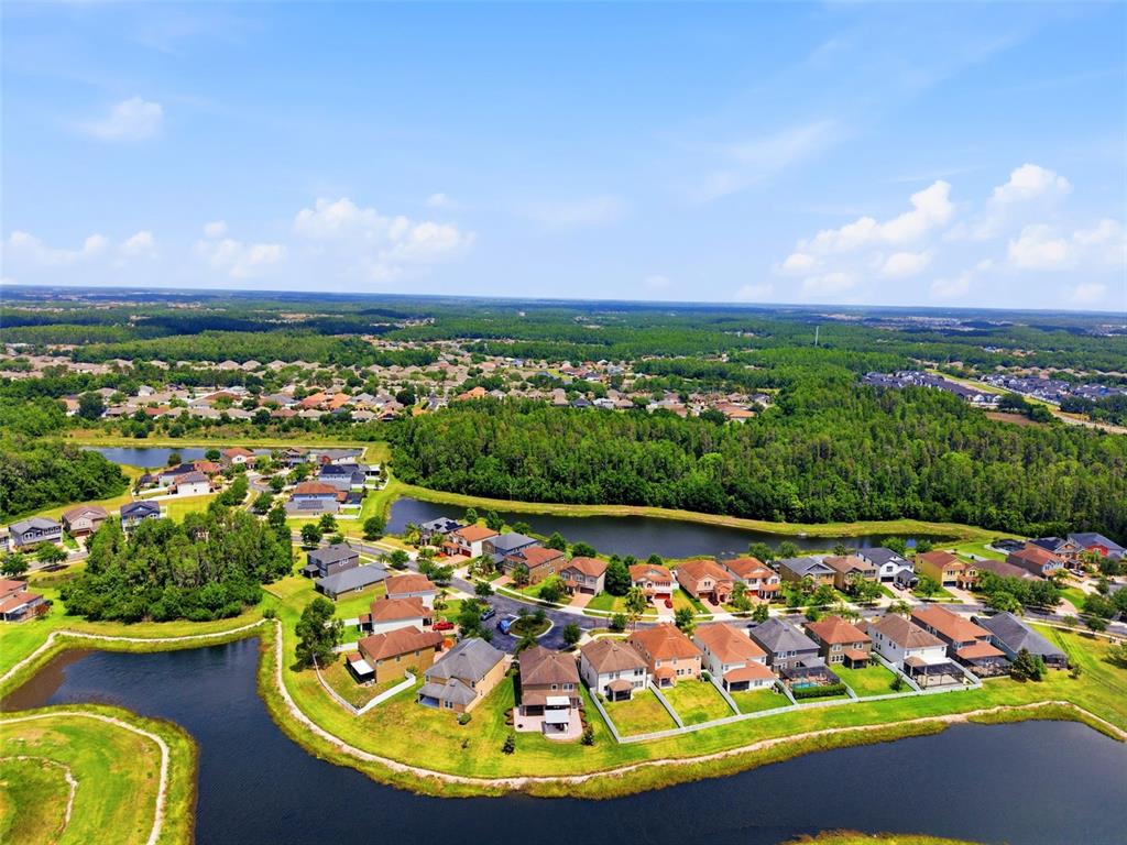 An aerial view shows a suburban neighborhood with houses surrounding a small lake — 19419 PADDOCK VIEW DRIVE, TAMPA, FL