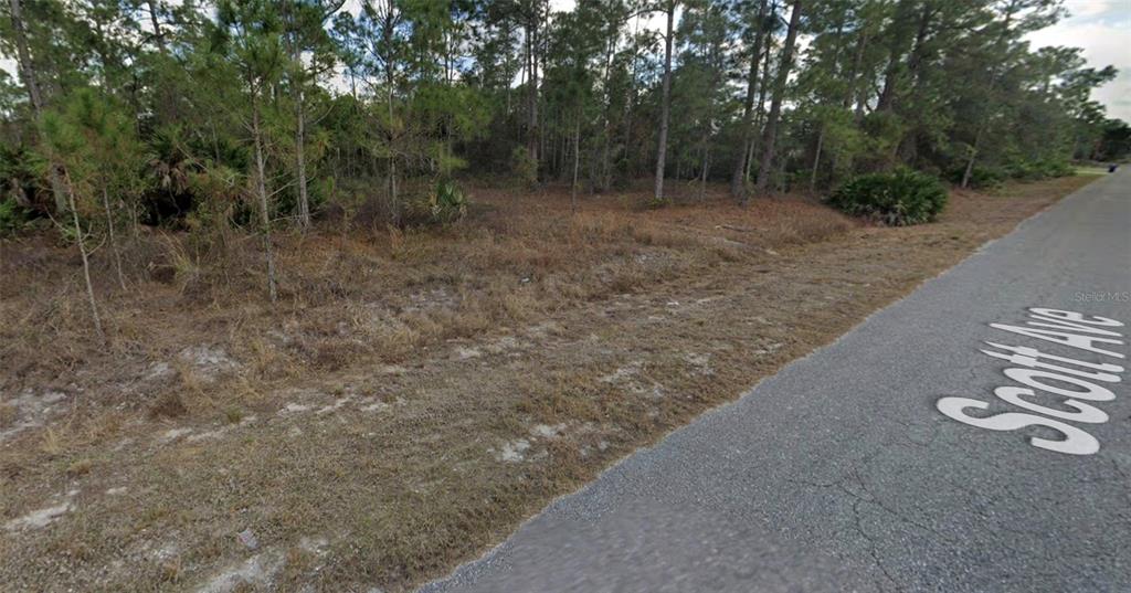 A view of a wooded, undeveloped lot bordering a paved road — 1318 SCOTT AVENUE, LEHIGH ACRES, FL
