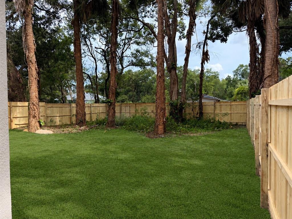 A grassy backyard features tall palm trees and a new wooden privacy fence — 1816 W 16TH STREET, SANFORD, FL