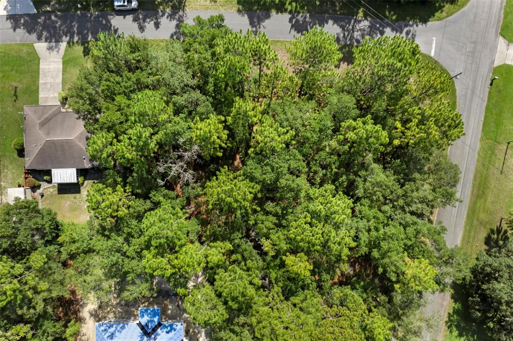 6733 N NANTUCKET WAY, DUNNELLON, FL — photo 2 of 6