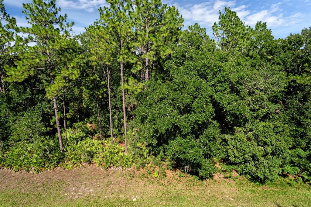 6733 N NANTUCKET WAY, DUNNELLON, FL — photo 3 of 6