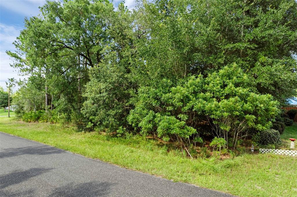 6733 N NANTUCKET WAY, DUNNELLON, FL — photo 4 of 6