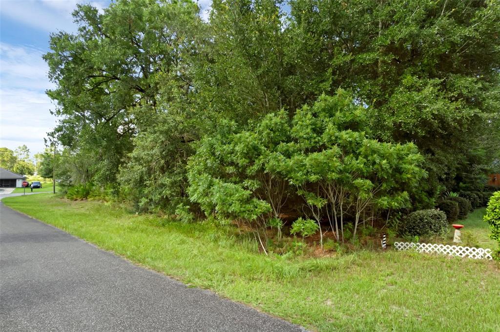6733 N NANTUCKET WAY, DUNNELLON, FL — photo 5 of 6