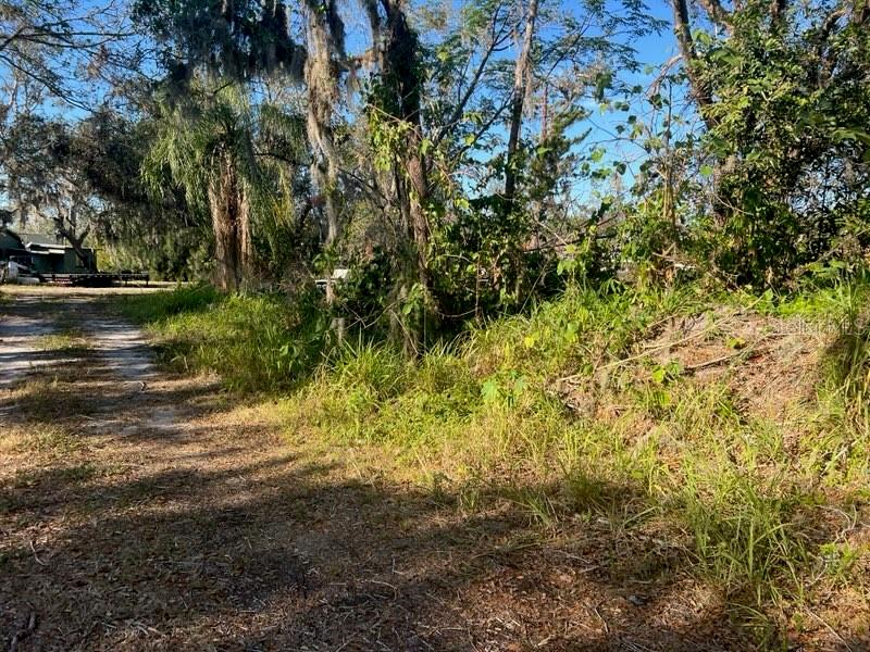 A dirt path leads toward a wooded area with a small structure in the distance — 4122 N LOCKWOOD RIDGE ROAD, SARASOTA, FL