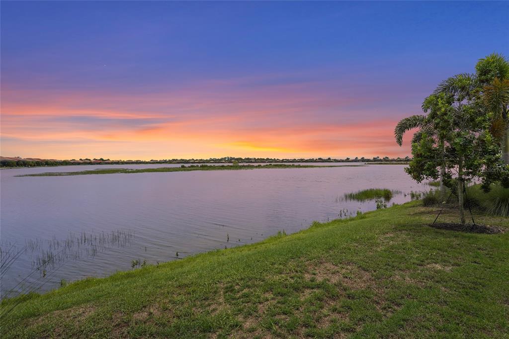A grassy bank overlooks a large lake at sunset with a palm tree on the right — 696 RAVELLO BOULEVARD, NOKOMIS, FL