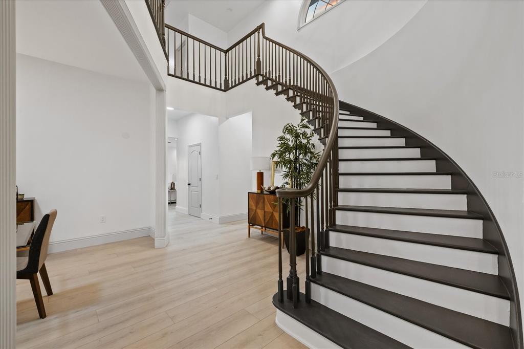 A curved staircase with dark wood treads and white risers stands in a bright foyer — 6121 BAYSIDE DRIVE, NEW PORT RICHEY, FL