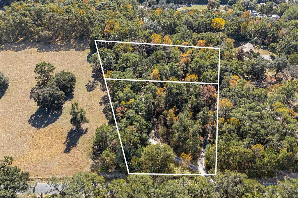 An aerial view shows a wooded lot outlined in white next to an open field — 22647 NW 210TH AVENUE, HIGH SPRINGS, FL