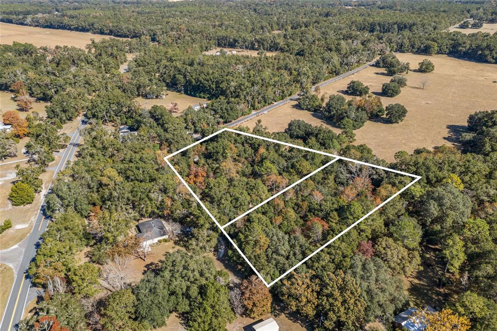 An aerial view shows two adjacent wooded lots outlined in white near a rural road — 22647 NW 210TH AVENUE, HIGH SPRINGS, FL