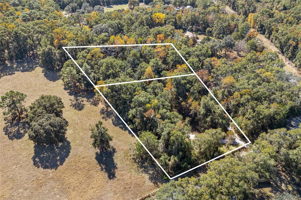 An aerial view shows two adjacent wooded lots outlined in white against a grassy field — 22647 NW 210TH AVENUE, HIGH SPRINGS, FL