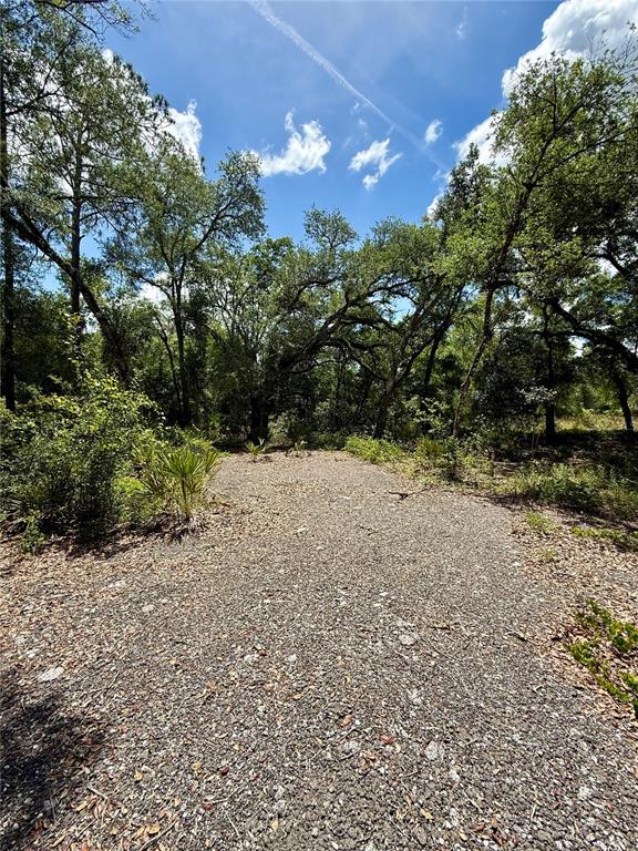 A gravel path leads through a wooded area with mature trees under a blue sky — LONG CIRCLE, WEBSTER, FL