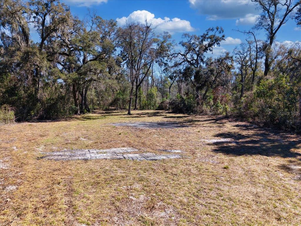 A flat, grassy, partially cleared lot is surrounded by mature trees under a blue sky — 4912 NE HIGHWAY 349, OLD TOWN, FL