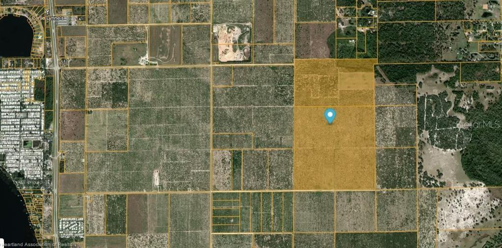An aerial map view shows a large, highlighted parcel of land surrounded by agricultural fields — 8923 + 6611 E TWITTY ROAD, SEBRING, FL