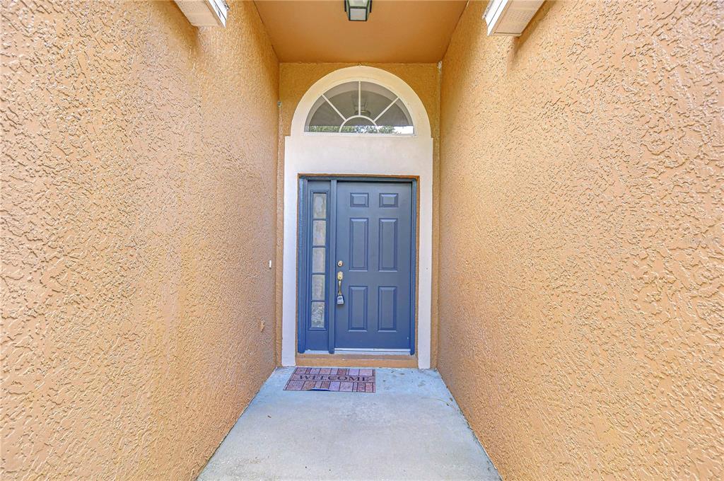 A blue front door with a side light and arched transom window sits in a recessed entryway — 18303 ELMHURST LANE, TAMPA, FL