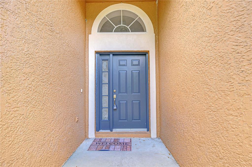 A blue front door with a side window and arched transom sits in a stucco entryway — 18303 ELMHURST LANE, TAMPA, FL