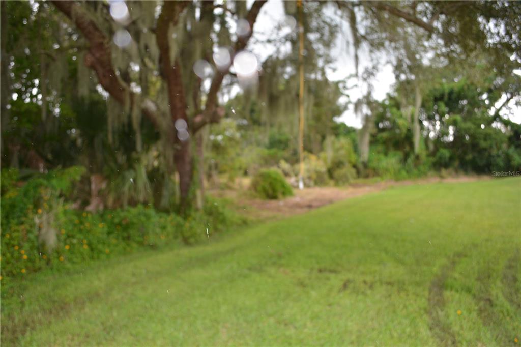 A grassy lawn leads toward a wooded area with trees draped in Spanish moss — 0 CHULUOTA ROAD, OVIEDO, FL