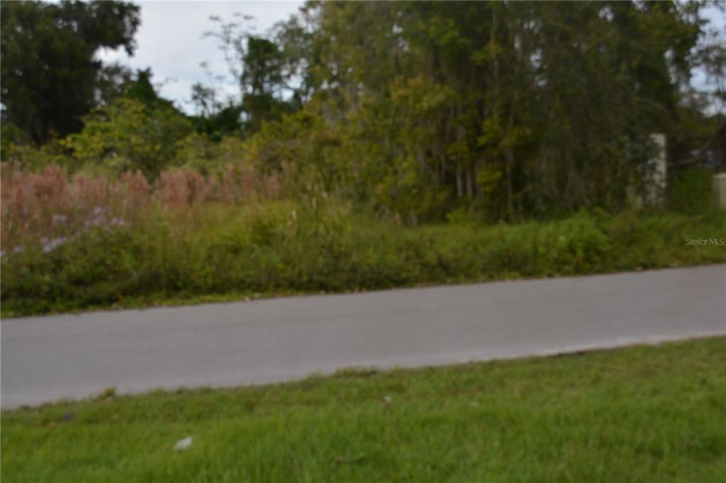 A paved road runs in front of a vacant, overgrown lot with trees and tall grass — 0 CHULUOTA ROAD, OVIEDO, FL