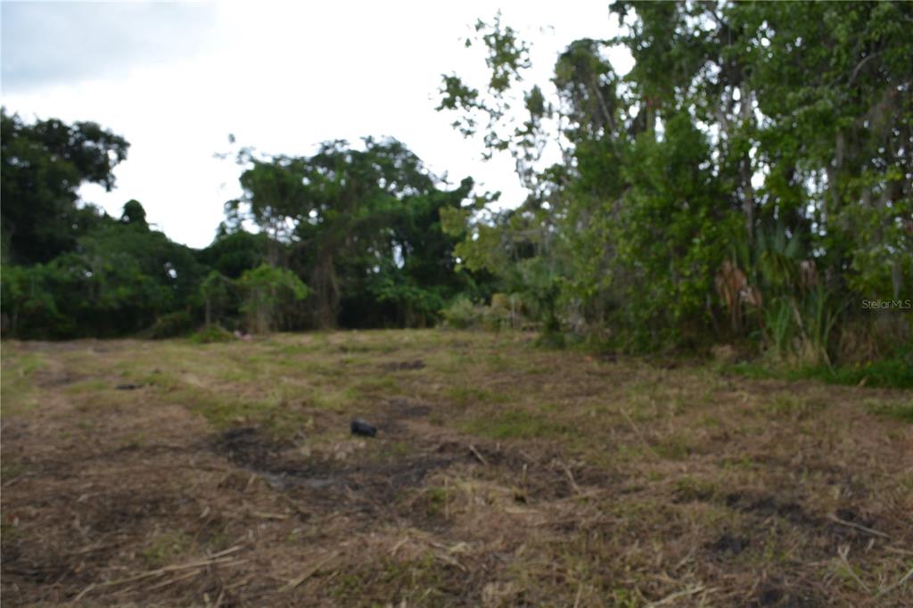 A cleared, grassy lot is surrounded by dense trees and vegetation — 0 CHULUOTA ROAD, OVIEDO, FL