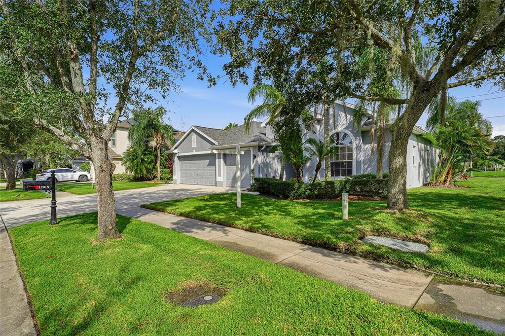 A single-story house with a gray garage and a front lawn under large oak trees — 12018 NORTHUMBERLAND DRIVE, TAMPA, FL