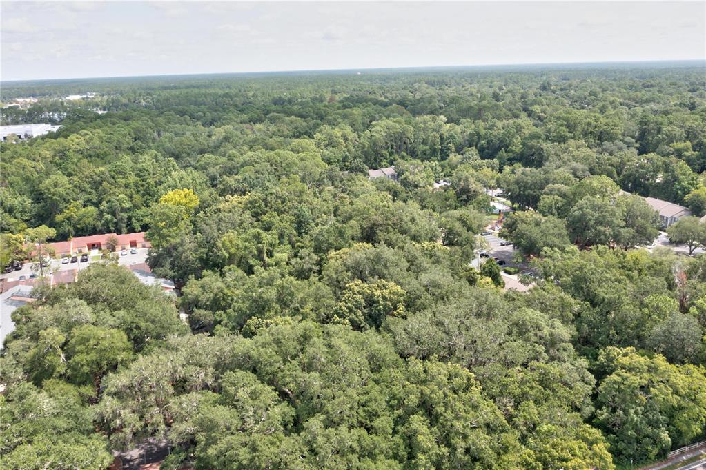 An aerial view shows a dense forest area surrounded by residential apartment buildings and parking lots — 780 NE 23RD AVENUE, GAINESVILLE, FL