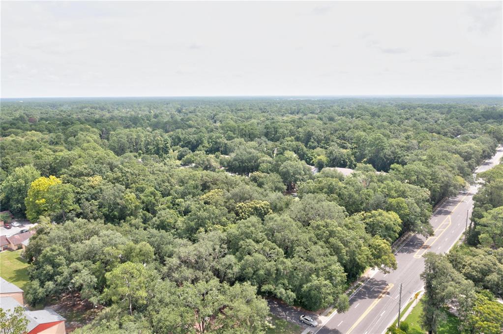 An aerial view shows a dense forest area adjacent to a paved road — 780 NE 23RD AVENUE, GAINESVILLE, FL