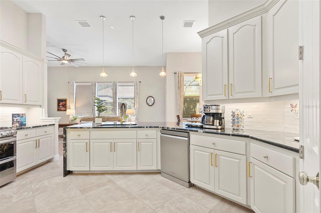 A kitchen features white cabinets, dark countertops, stainless steel appliances, and three pendant lights — 20203 CANE RIVER WAY, TAMPA, FL