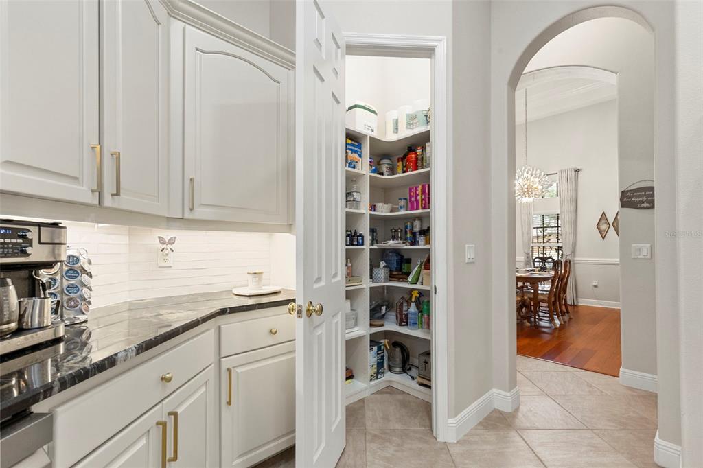 A kitchen pantry with white shelving sits beside a counter with cabinets and a doorway — 20203 CANE RIVER WAY, TAMPA, FL