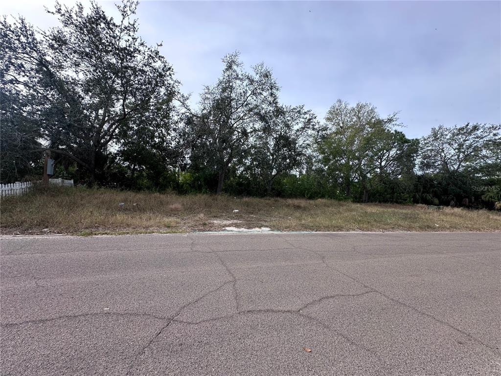 236 LOOKOUT DRIVE, APOLLO BEACH, FL — photo 3 of 4