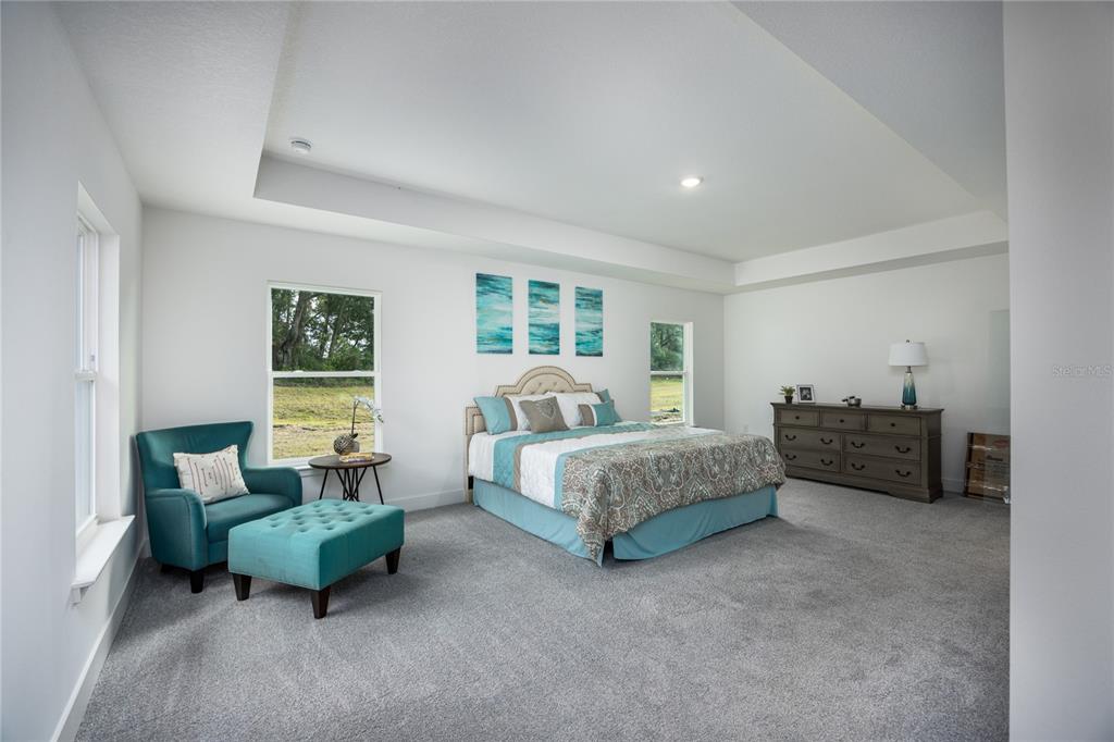 A spacious bedroom features gray carpeting, white walls, a tray ceiling, and teal accent furniture — 16929 NW 176TH WAY, ALACHUA, FL