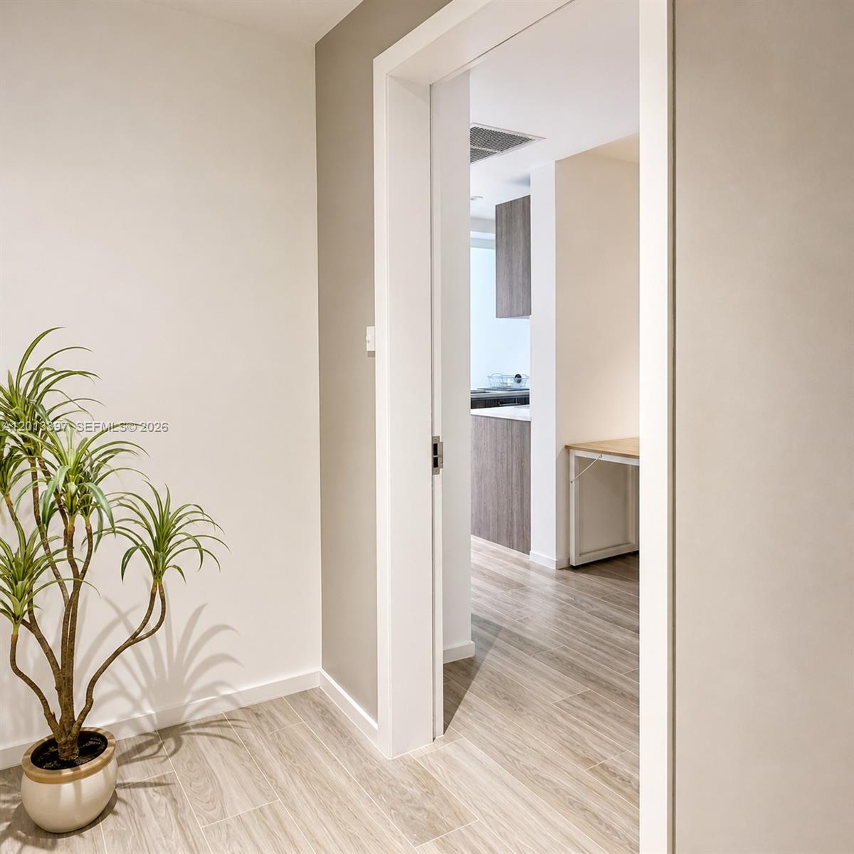 A potted plant sits in a hallway leading to a room with wood-look flooring — 801 S Miami Ave # 4206, Miami FL 33130, MIAMI, FL