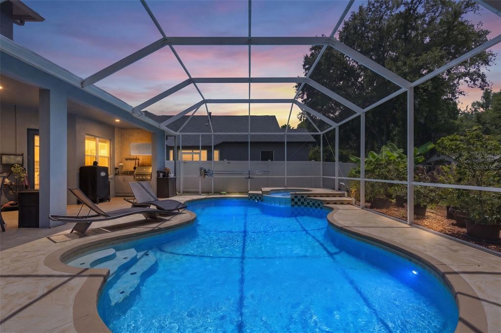 A screened-in backyard pool area features a hot tub, lounge chairs, and an outdoor kitchen — 8380 GOLDEN PRAIRIE DRIVE, TAMPA, FL