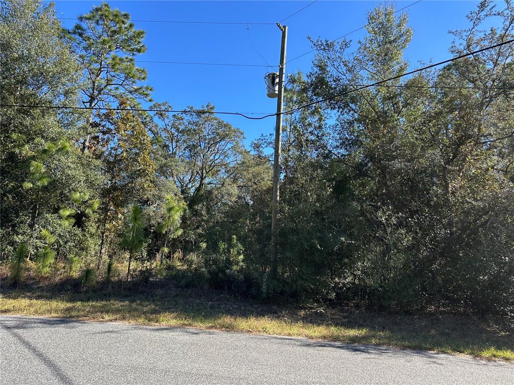 A utility pole with a transformer stands in front of a wooded lot by a road — 7991 N TINY LILY DRIVE, CITRUS SPRINGS, FL