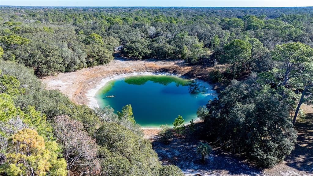 An aerial view shows a circular pond surrounded by a dense forest of trees — 13615 TYRONE STREET, HUDSON, FL