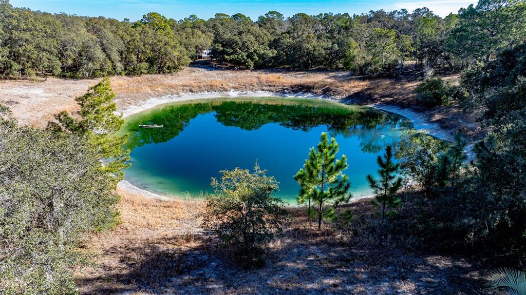 An aerial view shows a deep blue sinkhole pond surrounded by trees and dry grass — 13615 TYRONE STREET, HUDSON, FL