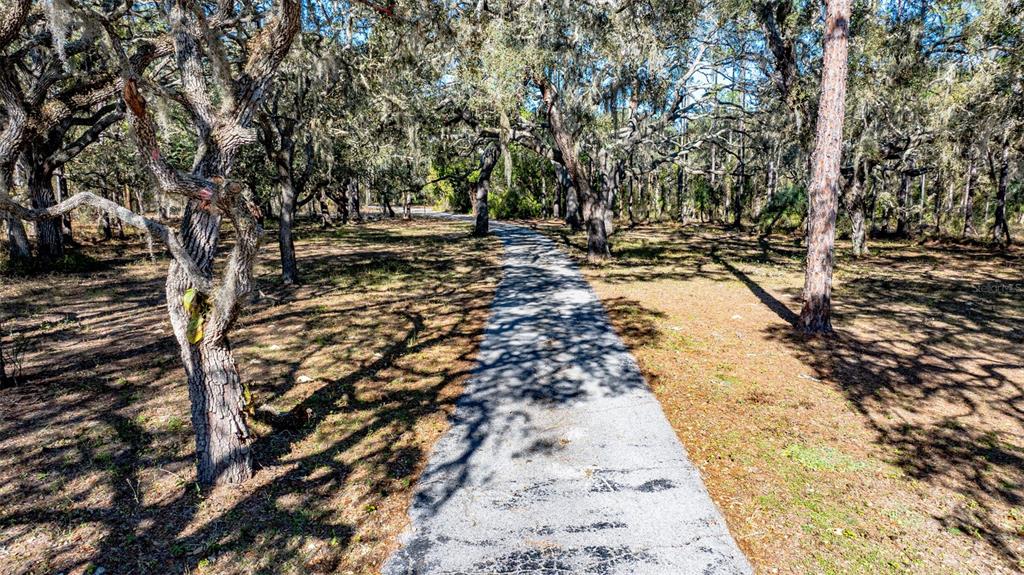 A paved path winds through a wooded area with large, moss-covered oak trees — 13615 TYRONE STREET, HUDSON, FL