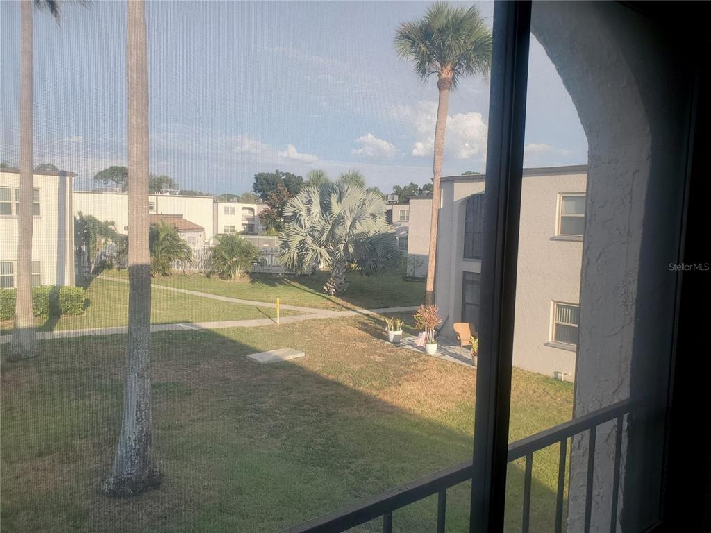 A view from a balcony overlooking a grassy courtyard with palm trees and apartment buildings — 7701 STARKEY ROAD UNIT 316, SEMINOLE, FL