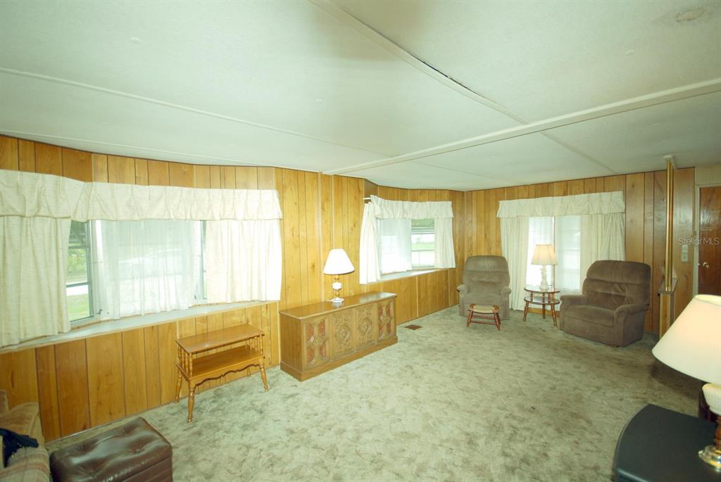 A living room features wood-paneled walls, carpeted flooring, and several windows with white curtains — 8810 COBB ROAD, RIVERVIEW, FL