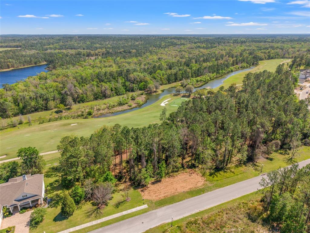 An aerial view shows a vacant lot adjacent to a golf course and wooded area — 20044 ENGLISH WALNUT PLACE, BROOKSVILLE, FL