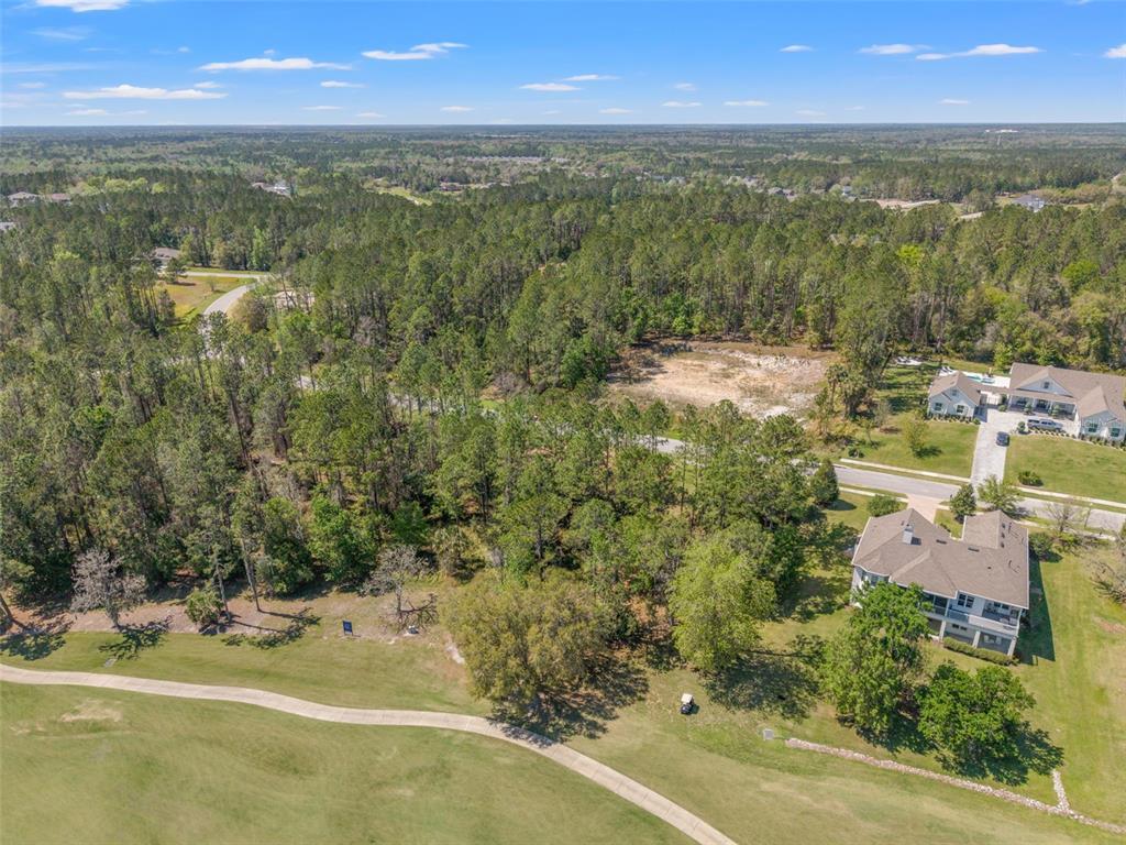 An aerial view shows a wooded lot adjacent to a golf course and residential homes — 20044 ENGLISH WALNUT PLACE, BROOKSVILLE, FL