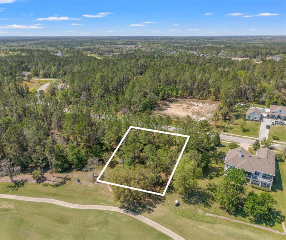 An aerial view shows a rectangular vacant lot outlined in white next to a residential house — 20044 ENGLISH WALNUT PLACE, BROOKSVILLE, FL
