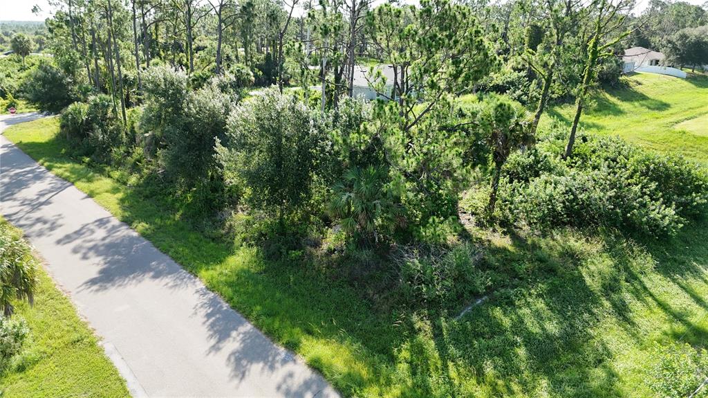 An aerial view shows a paved road bordering a wooded, undeveloped residential lot — N SAN MATEO DRIVE, NORTH PORT, FL