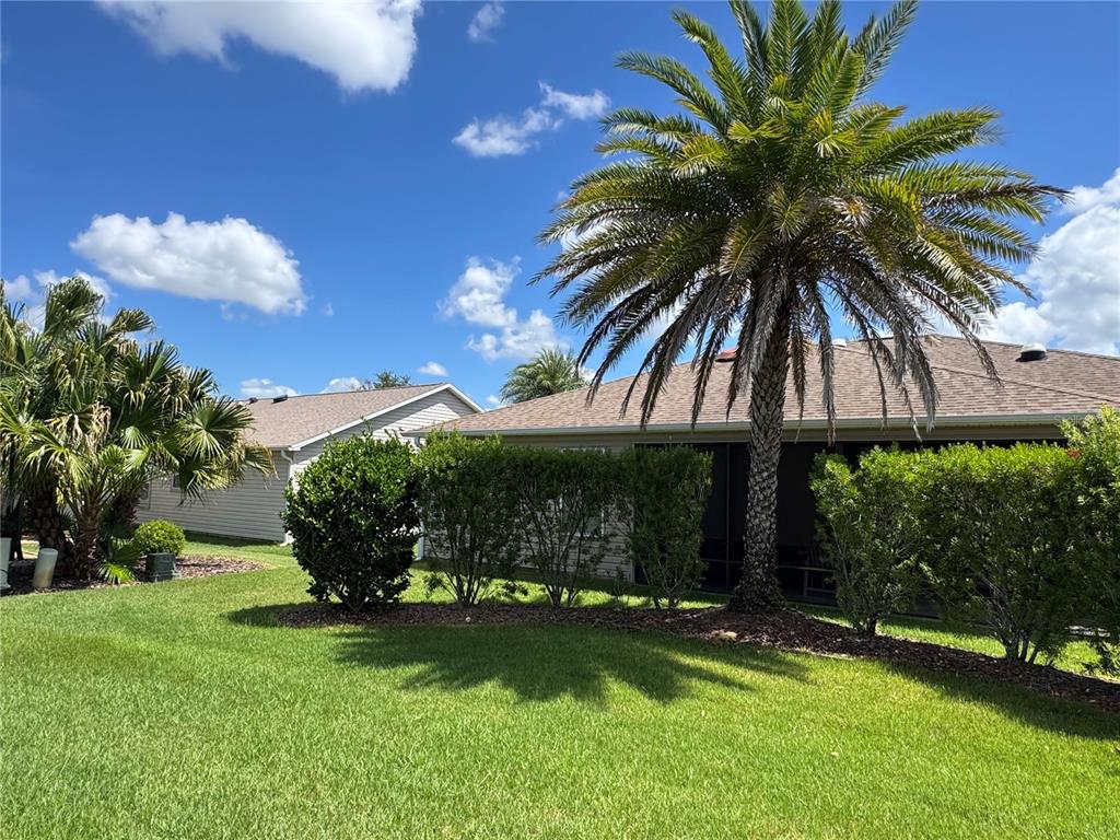 A backyard lawn features a large palm tree, manicured hedges, and two residential houses — 1479 DYNASTY PLACE, THE VILLAGES, FL