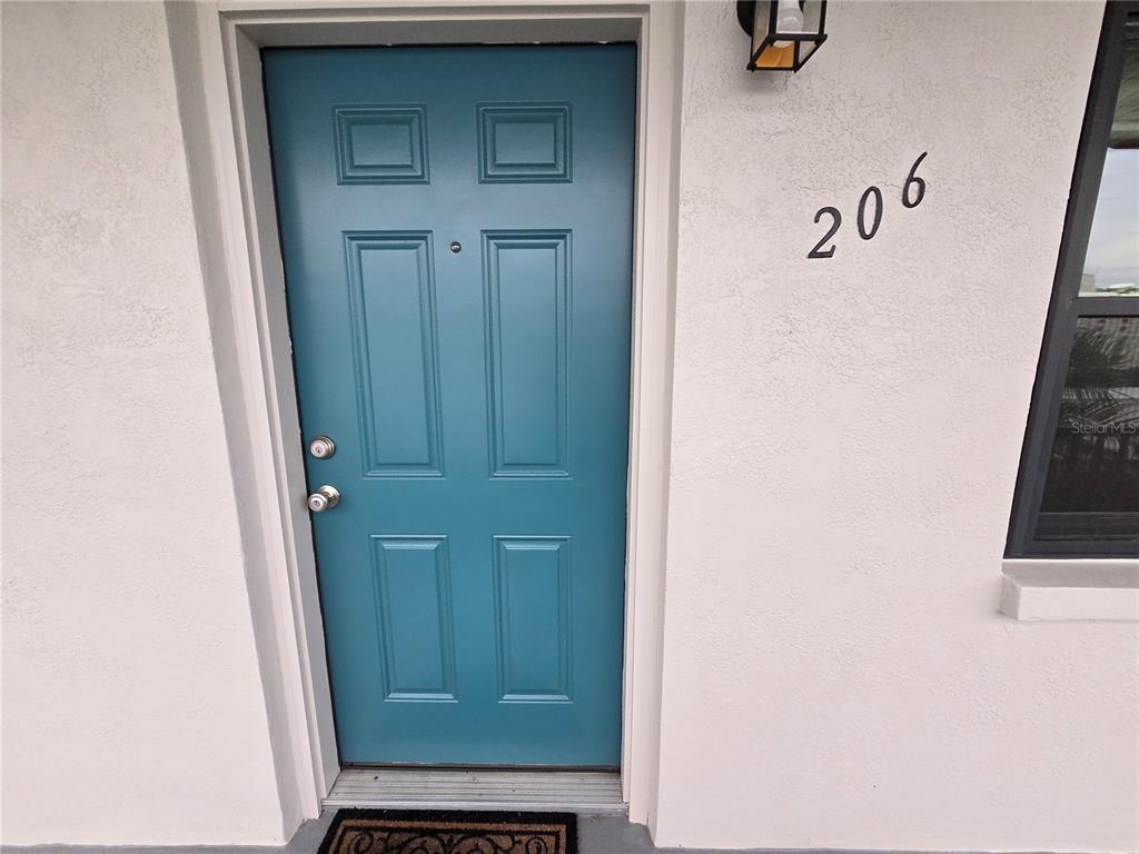 A teal front door with a peephole and silver hardware sits beside the number 206 — 5967 TERRACE PARK DRIVE N UNIT 206, ST PETERSBURG, FL