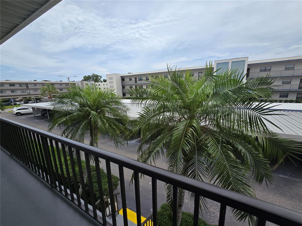 A view from a balcony overlooking a parking lot with palm trees and apartment buildings — 5967 TERRACE PARK DRIVE N UNIT 206, ST PETERSBURG, FL