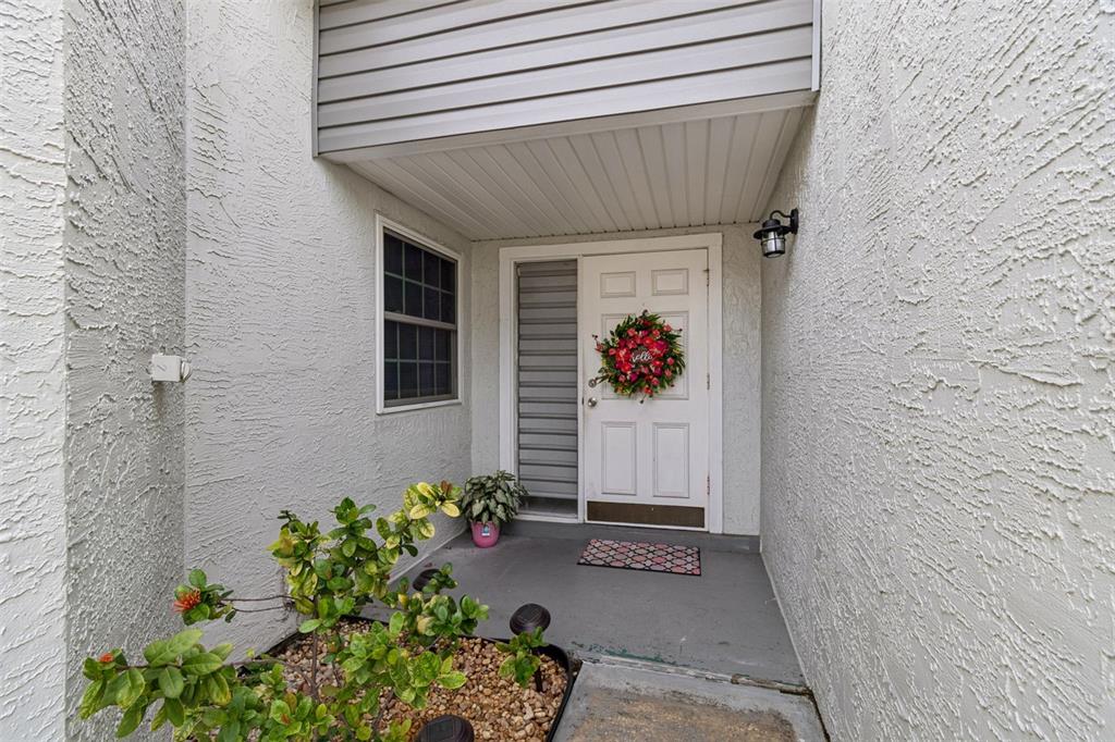 A covered entryway features a white front door with a wreath and a small plant — 341 HIBISCUS DRIVE, PALM HARBOR, FL