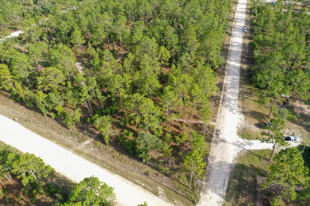 An aerial view shows a wooded, undeveloped rectangular lot situated between two dirt roads — 0000 NE 131 LOT 10 TERRACE, WILLISTON, FL