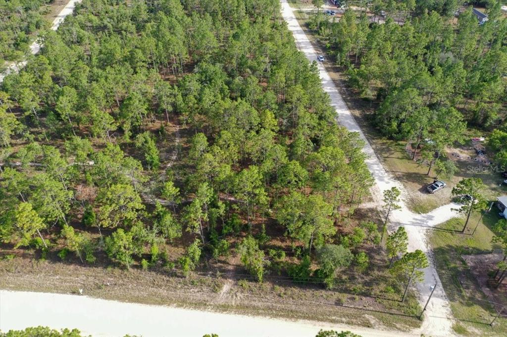 An aerial view shows a wooded, undeveloped lot bordered by two dirt roads — 0000 NE 131 LOT 10 TERRACE, WILLISTON, FL