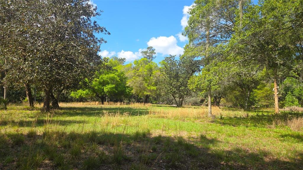 A grassy, sunlit lot is surrounded by mature trees under a blue sky — 2140 ST JOHNS RIVER ROAD, ASTOR, FL