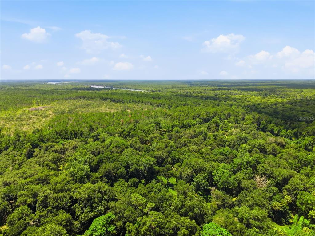 An aerial view shows a vast, dense forest landscape under a clear blue sky — 2140 ST JOHNS RIVER ROAD, ASTOR, FL